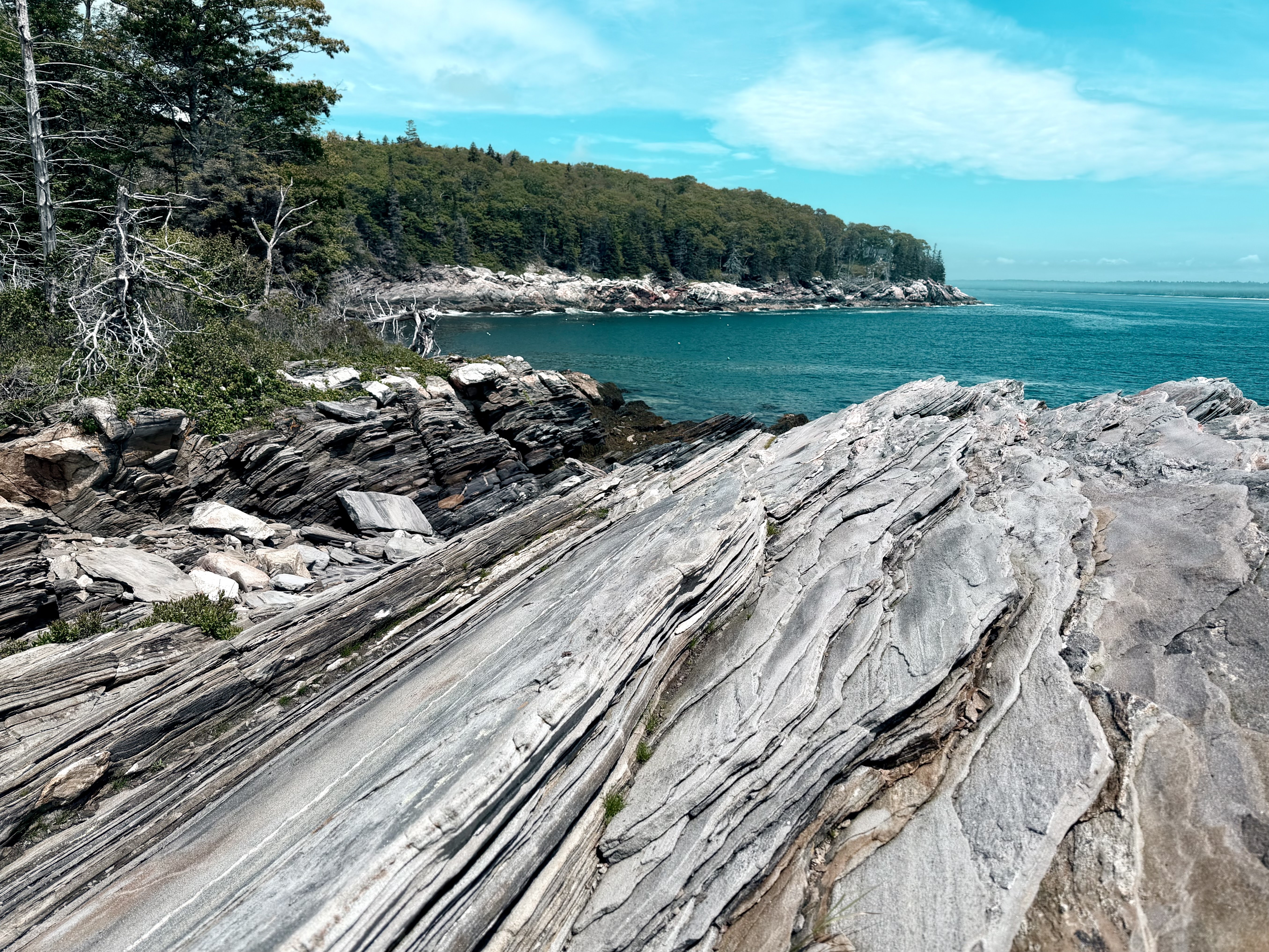 Layered granite ledges along the rocky Maine coastline, with pine trees and a quiet cove