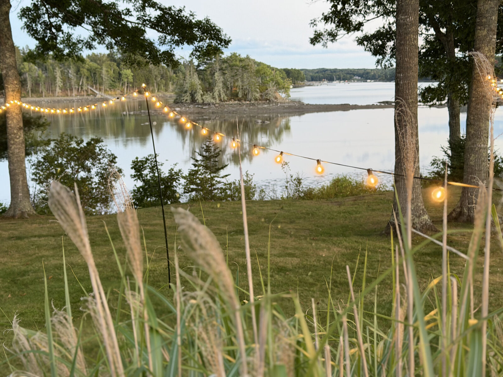 String lights strung between trees along the lawn above the harbor at dusk