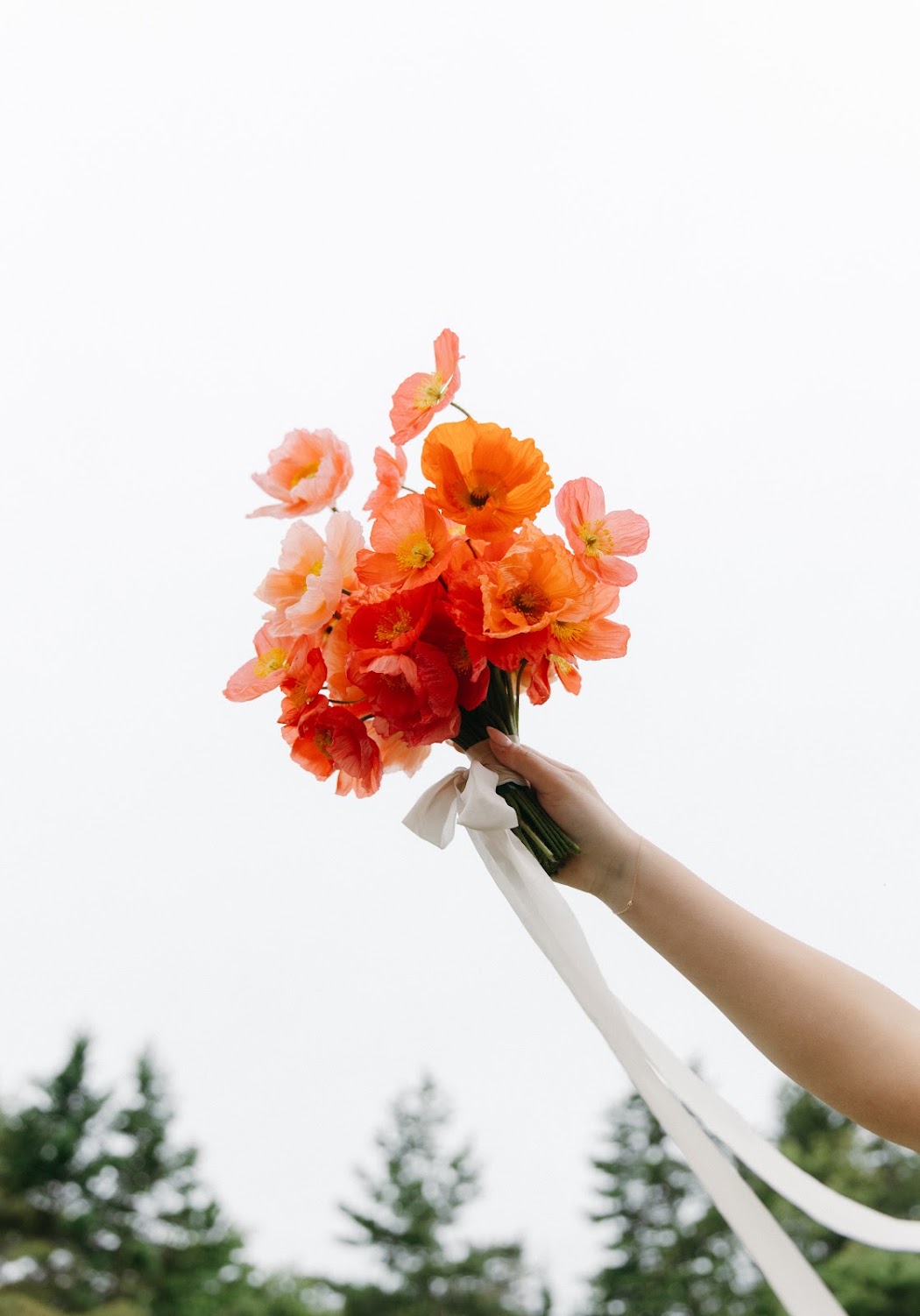 A bouquet of orange and coral poppies held up against the sky