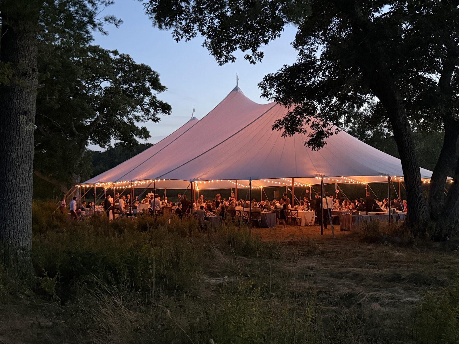 Guests dining under a sailcloth tent lit with string lights at dusk, framed by oak trees