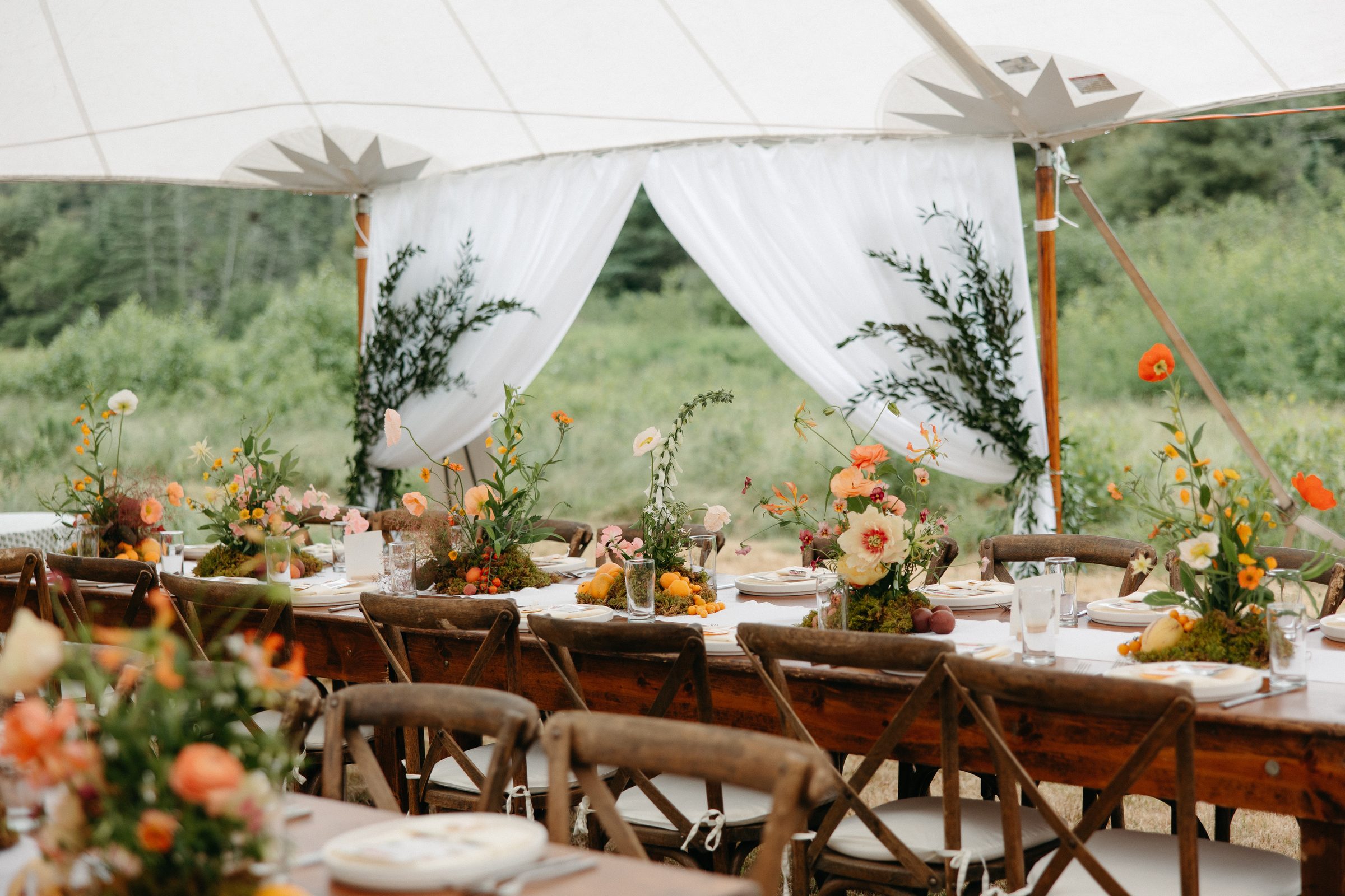 The tent in the field at dusk, string lights and lanterns lit above the long table