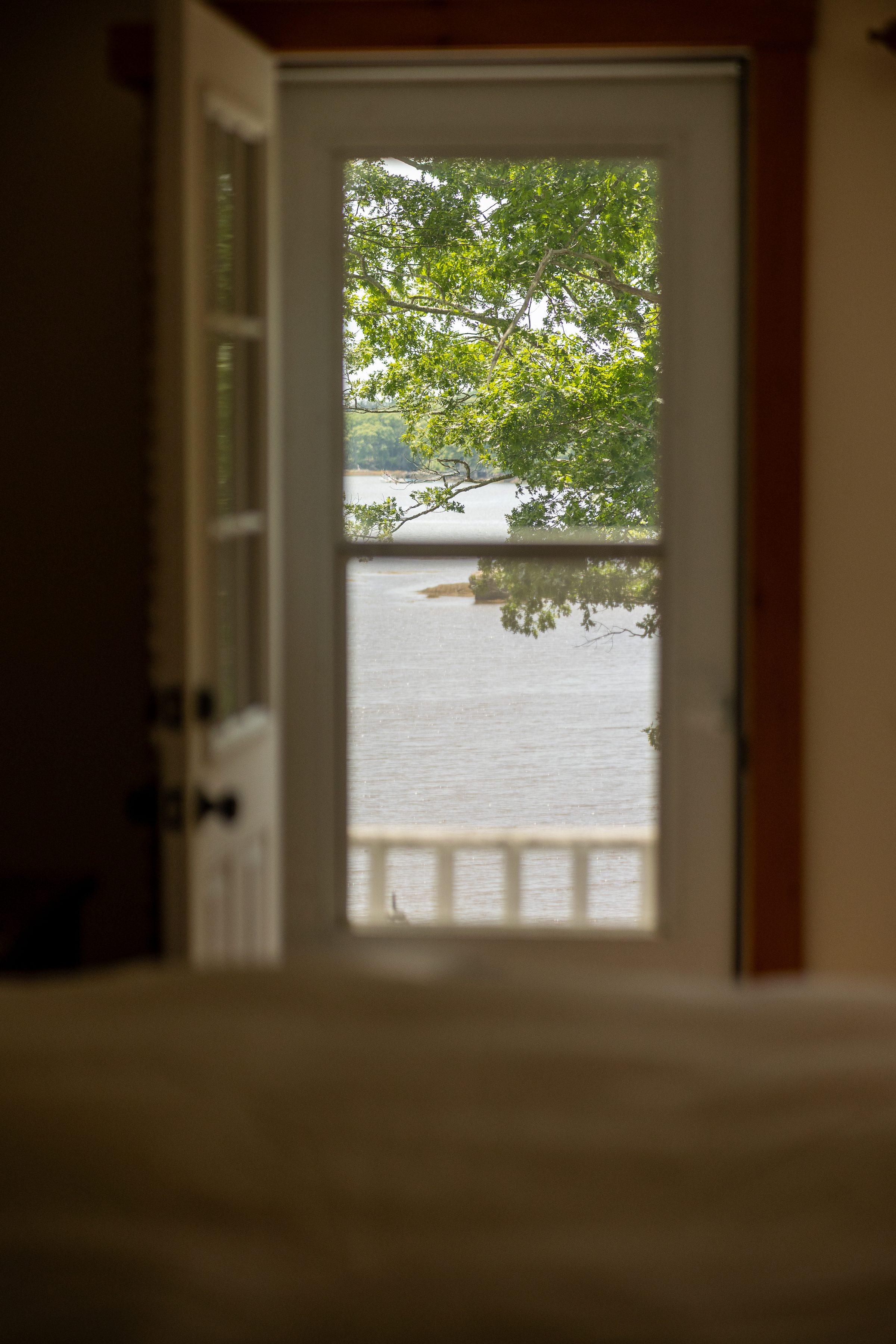 A view through an open door and window screen out to the harbor